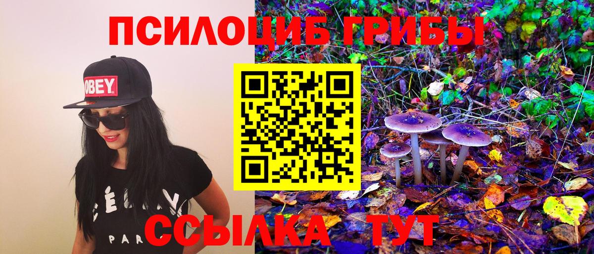 Псилоцибиновые грибы Magic Shrooms Сызрань